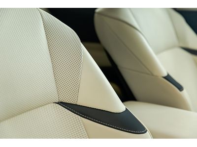 2023 Lexus ES 300h