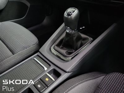 2023 Skoda Octavia