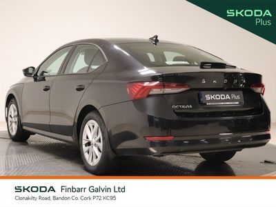 2023 Skoda Octavia