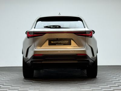 2023 Lexus NX 450H+