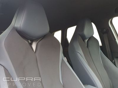 2025 Cupra Terramar
