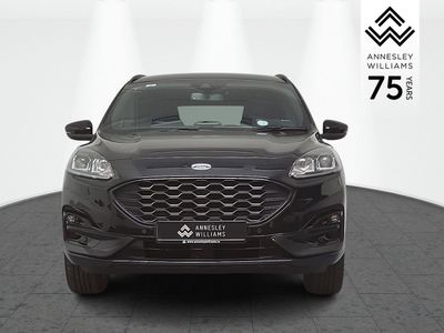 2023 Ford Kuga