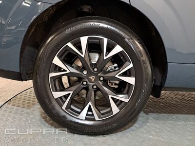 2026 Cupra Terramar