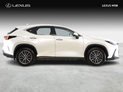2024 Lexus NX 450H+