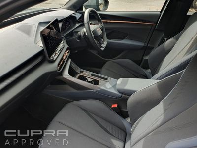 2026 Cupra Terramar