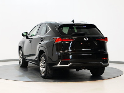 2020 Lexus NX