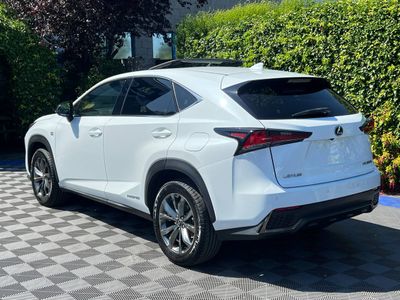 2019 Lexus NX 300h