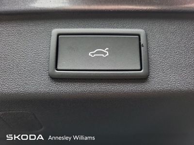 2026 Skoda Kodiaq