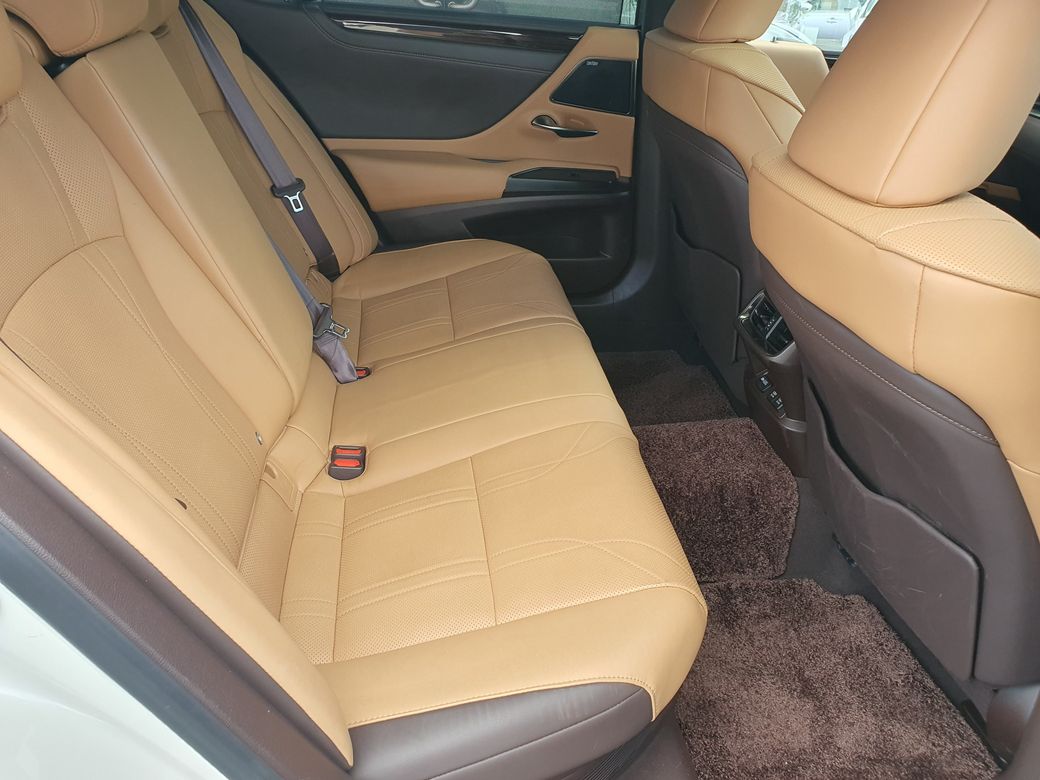 2020 Lexus ES 300h