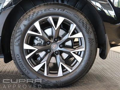 2025 Cupra Terramar