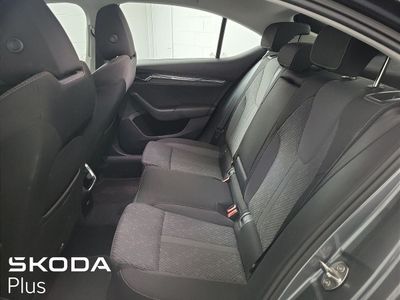 2023 Skoda Octavia