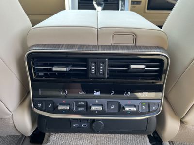 2025 Toyota Land Cruiser Amazon