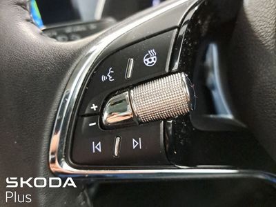 2023 Skoda Octavia