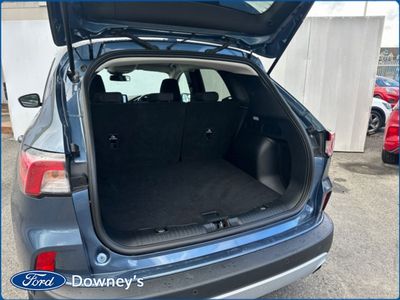 2022 Ford Kuga
