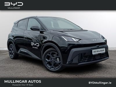2026 BYD Dolphin Surf