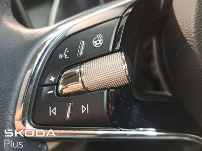 2023 Skoda Octavia