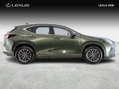 2023 Lexus NX 450H+