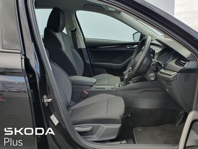 2023 Skoda Octavia