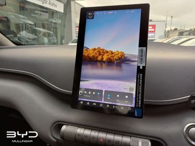 2026 BYD Dolphin Surf