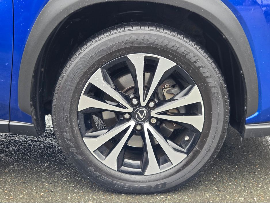 2019 Lexus NX 300h