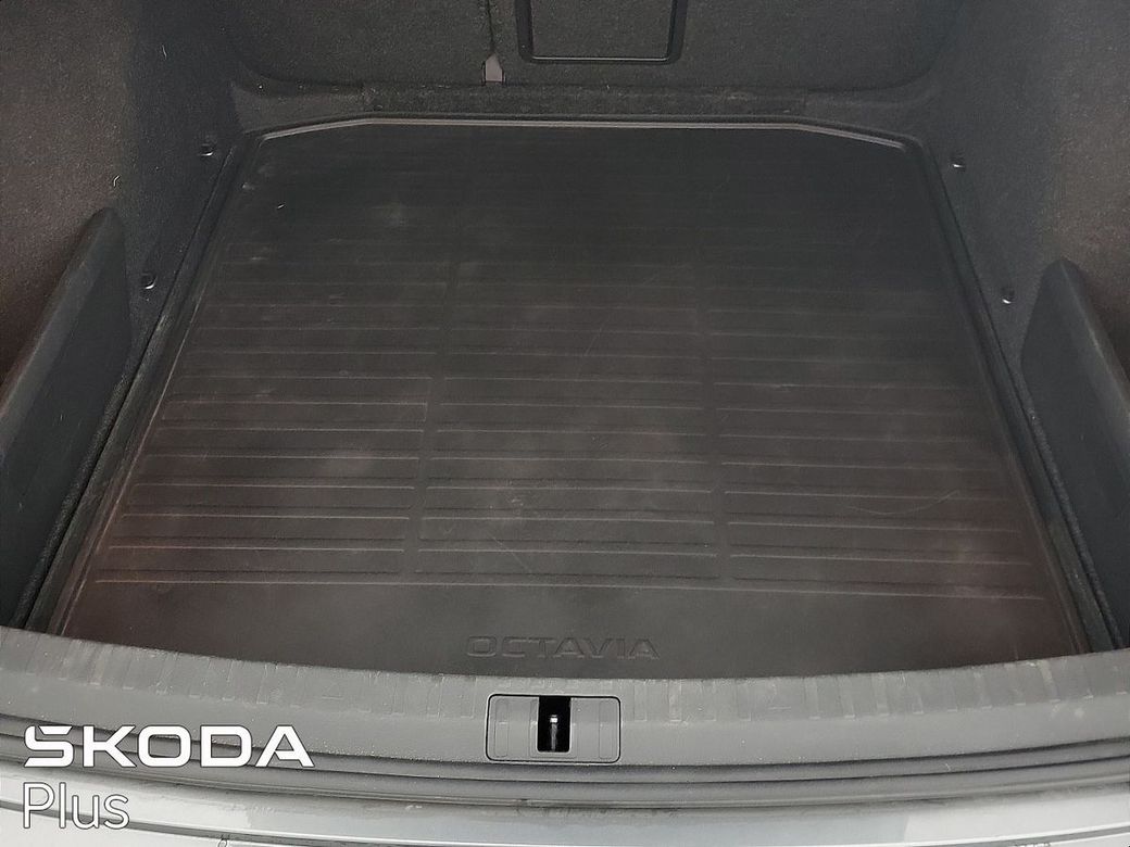 2023 Skoda Octavia