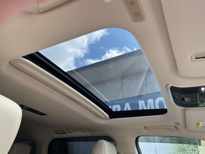2025 Toyota Land Cruiser Amazon