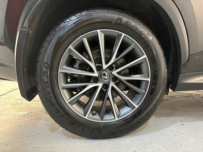 2023 Lexus NX 450H+