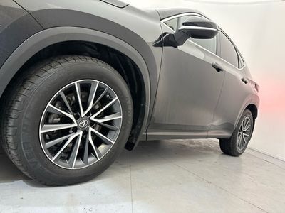 2023 Lexus NX 450H+