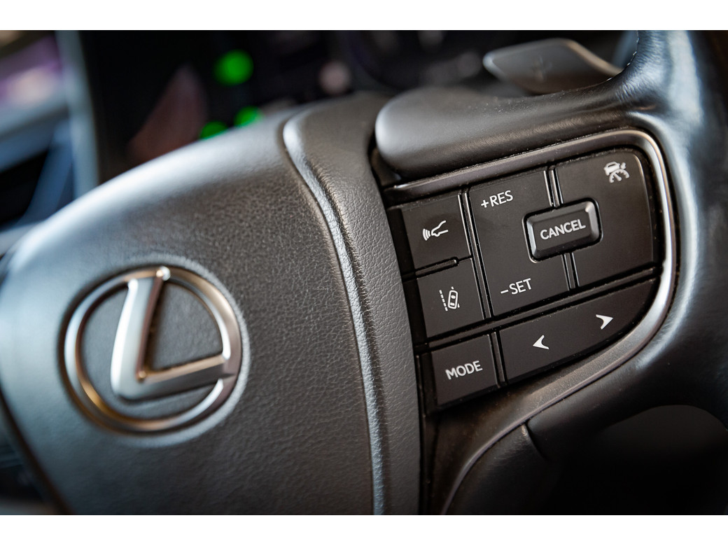 2021 Lexus UX 300e