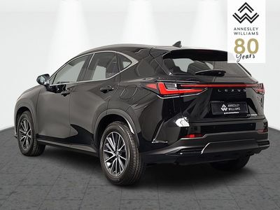2024 Lexus NX