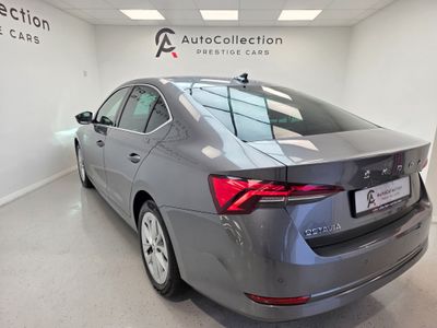 2023 Skoda Octavia