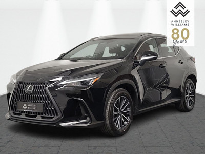 2025 Lexus NX