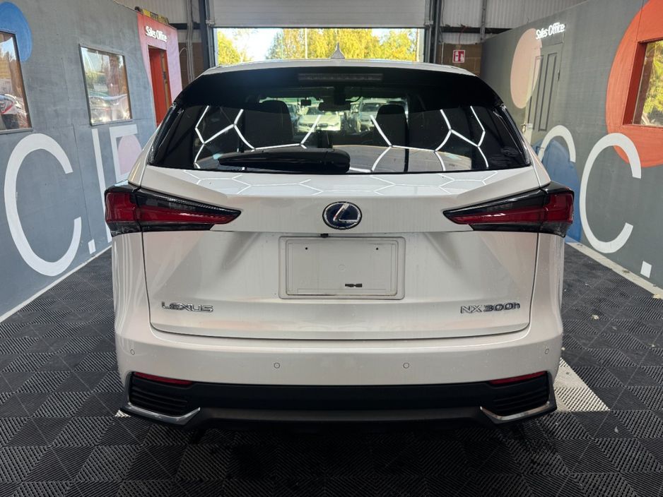 2019 Lexus NX 300h