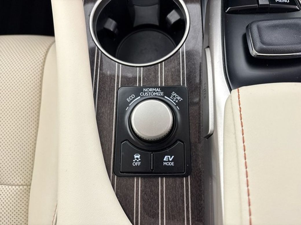 2019 Lexus RX450h