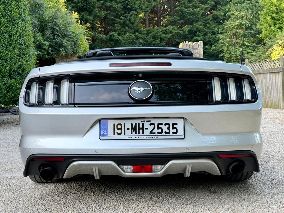 2019 Ford Mustang