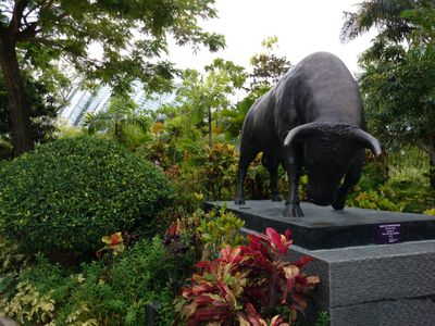 2017 Alfa Romeo Giulia