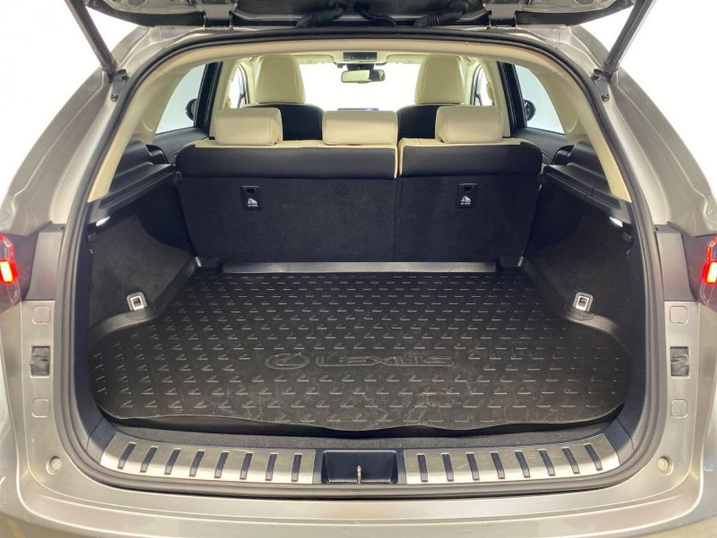 2019 Lexus NX