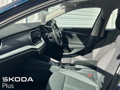 2023 Skoda Octavia