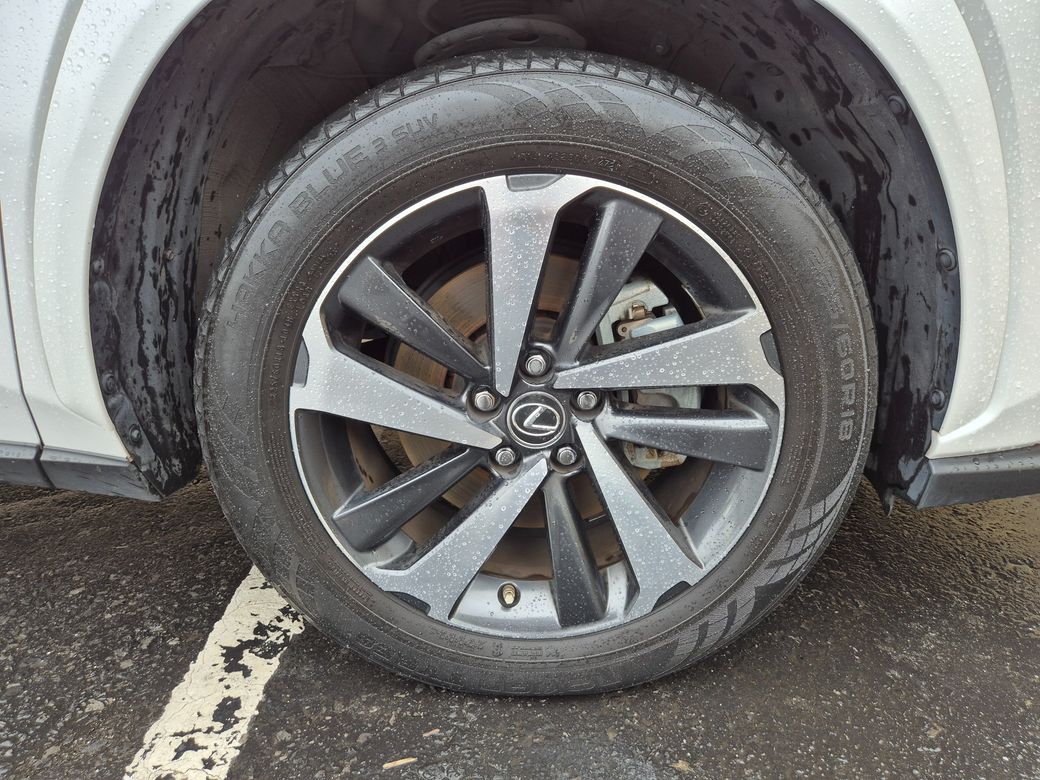 2021 Lexus NX 300h