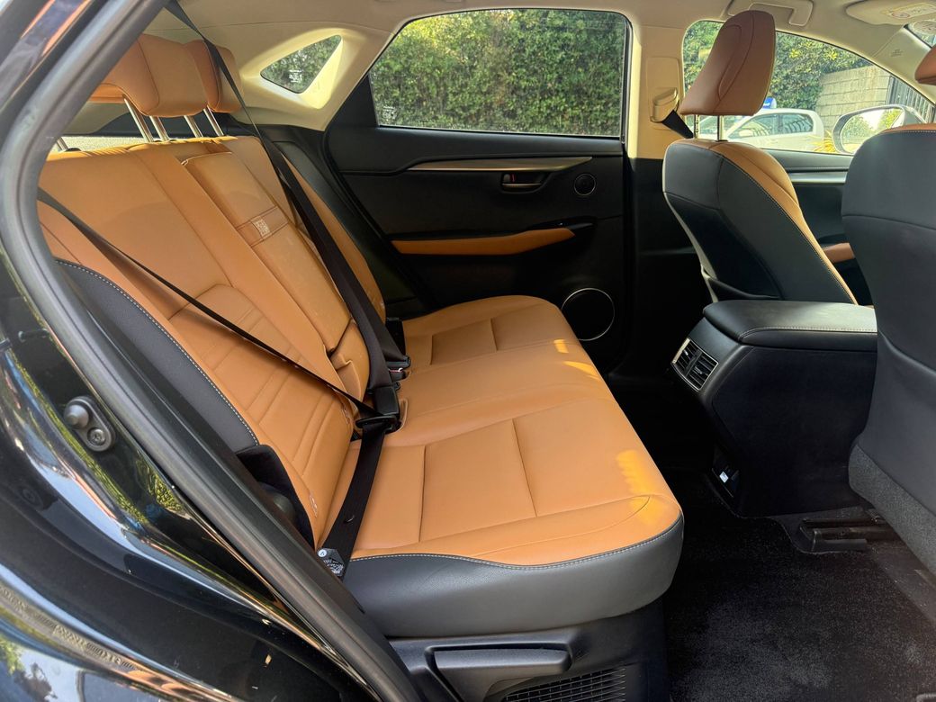 2020 Lexus NX 300h