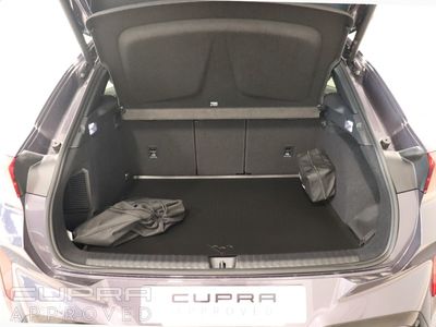 2025 Cupra Terramar