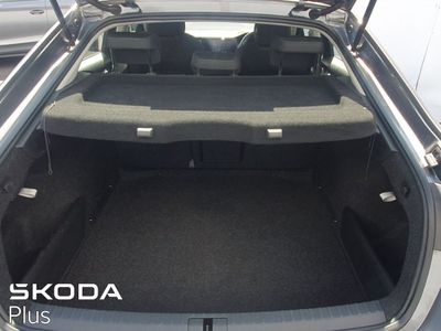 2023 Skoda Octavia