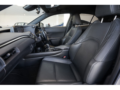 2021 Lexus UX 300e