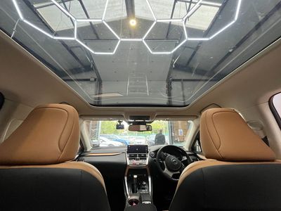2021 Lexus NX 300h