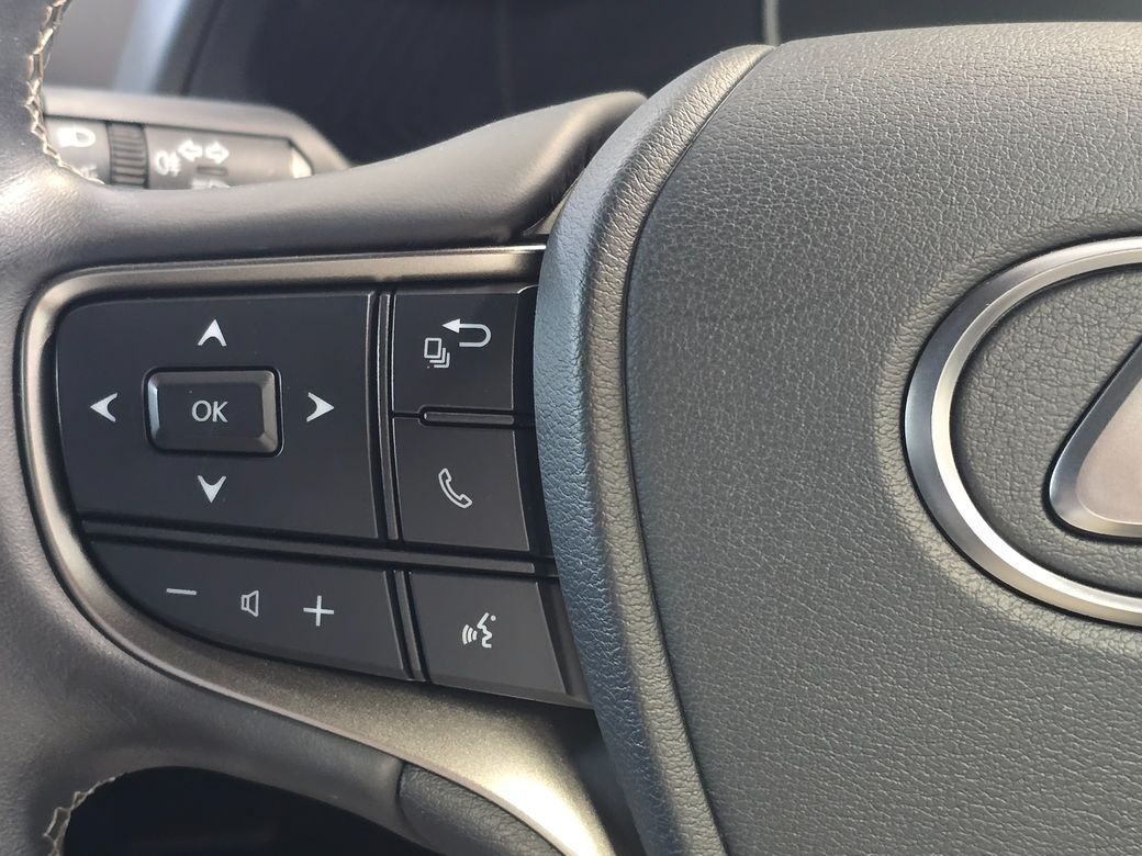 2021 Lexus UX 250H