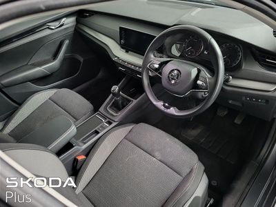 2023 Skoda Octavia
