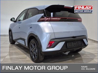 2026 BYD Dolphin Surf