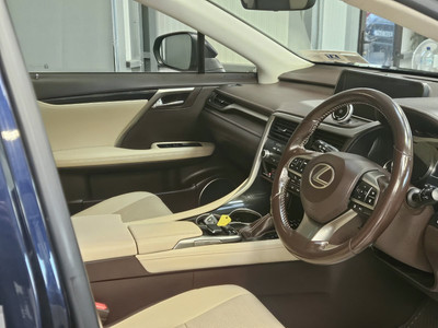 2019 Lexus RX