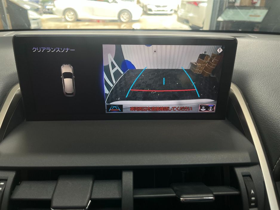 2019 Lexus NX 300h
