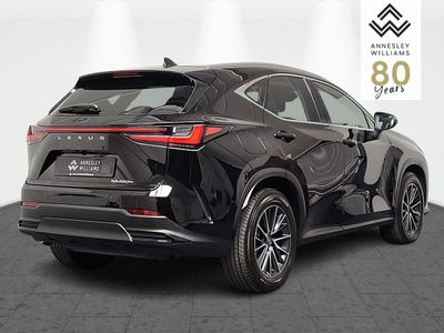 2024 Lexus NX